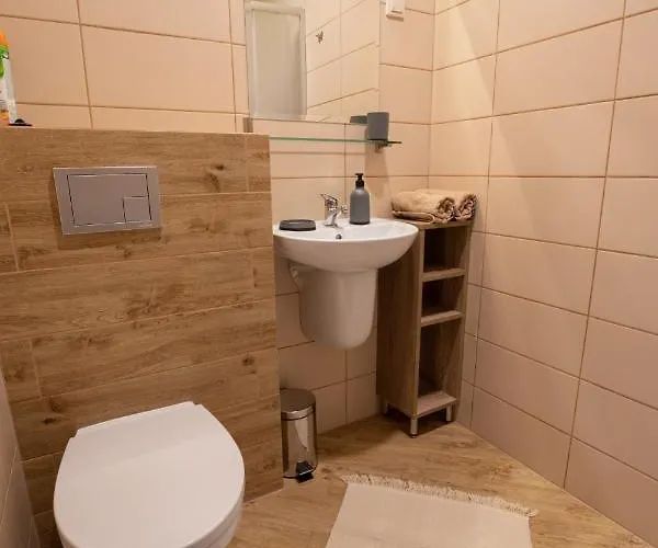 Goscinne Guest house Butryny